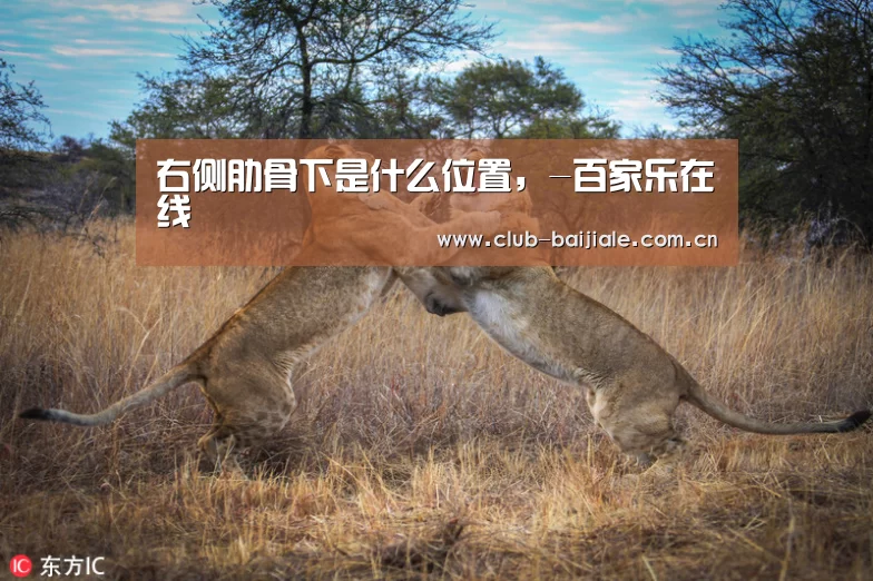 右侧肋骨下是什么位置,-百家乐在线(图2) 百家乐在线